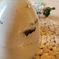 Bouteille d'huile en céramique fabriquée à la main - Une touche durable pour votre comptoir de cuisine