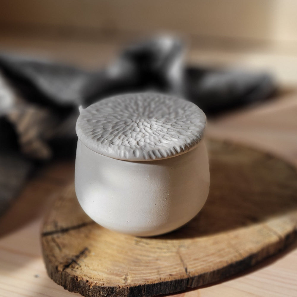 Butter Dish | Matte White Stoneware | Farmhouse Lid