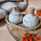 Ceramic Salt and Pepper jars- Set of two jars and jute basket. White with white speckled glaze