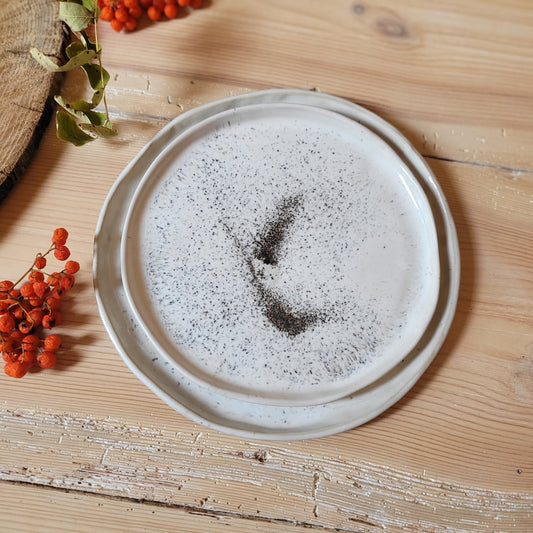 Speckled white dinner plate