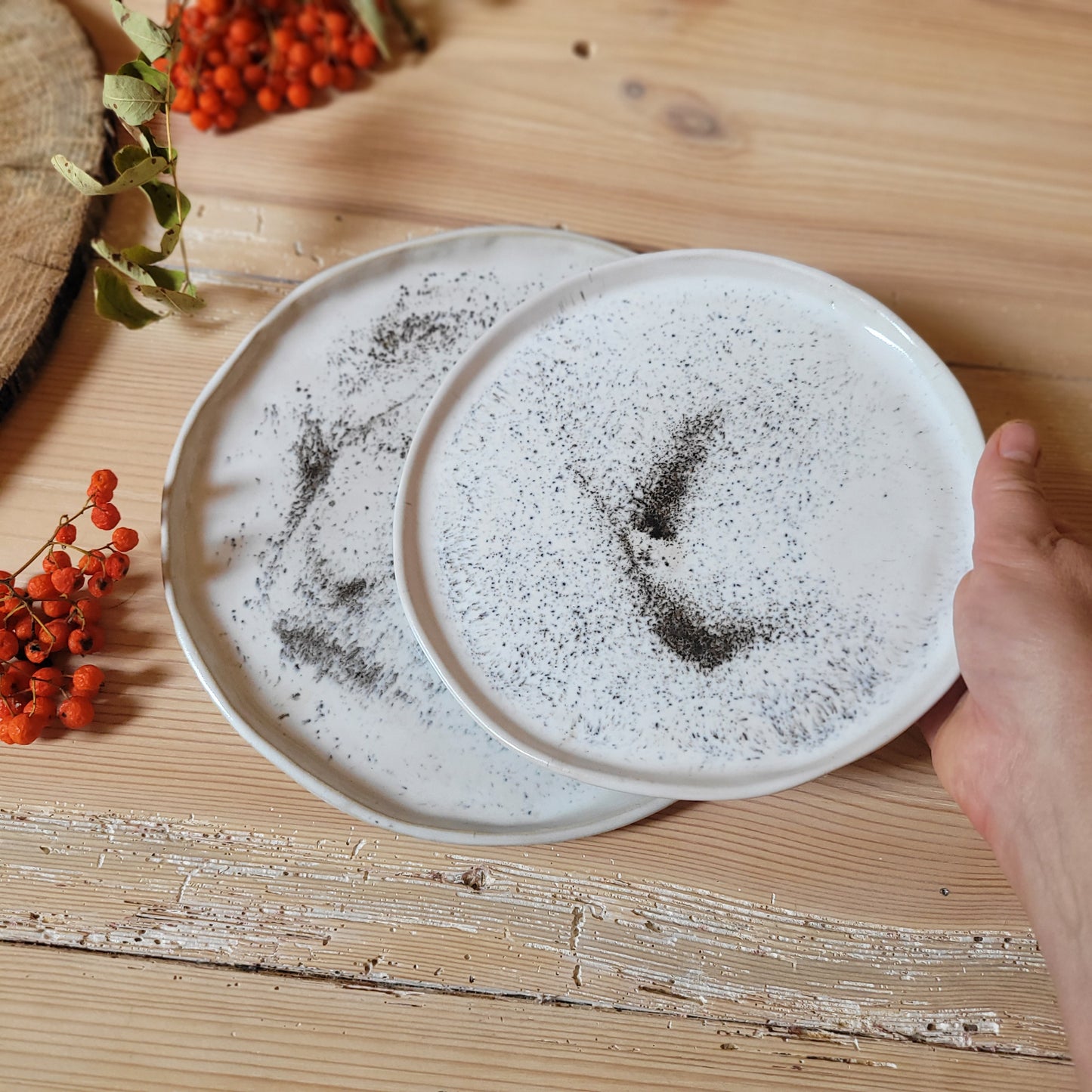 Speckled white dinner plate