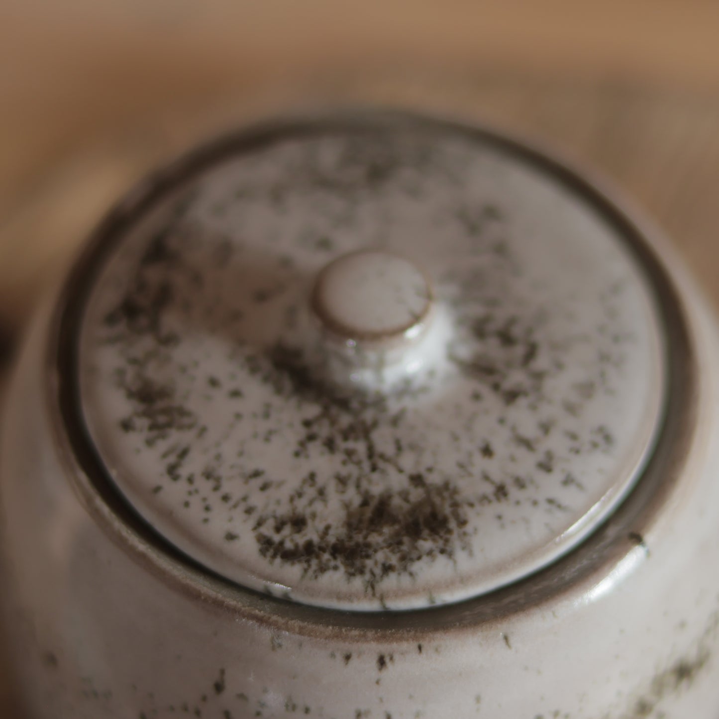 Seconds: Speckled Ceramic Sugar Pot